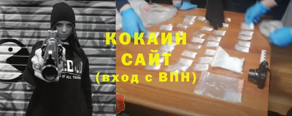 шишки Бронницы